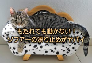 cat-sofa